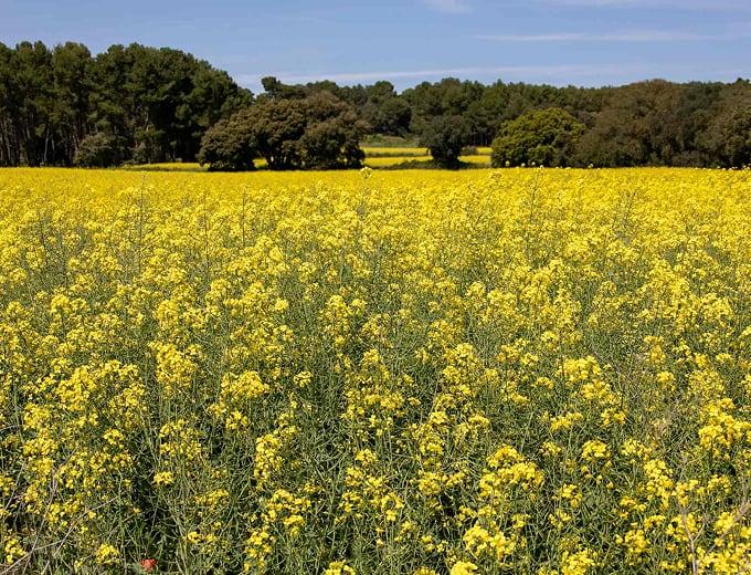 Exclusive Real Estate