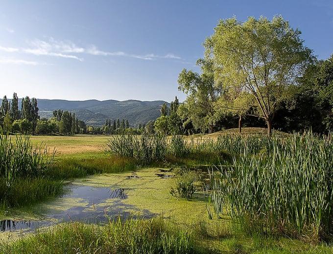 Exclusive Real Estate