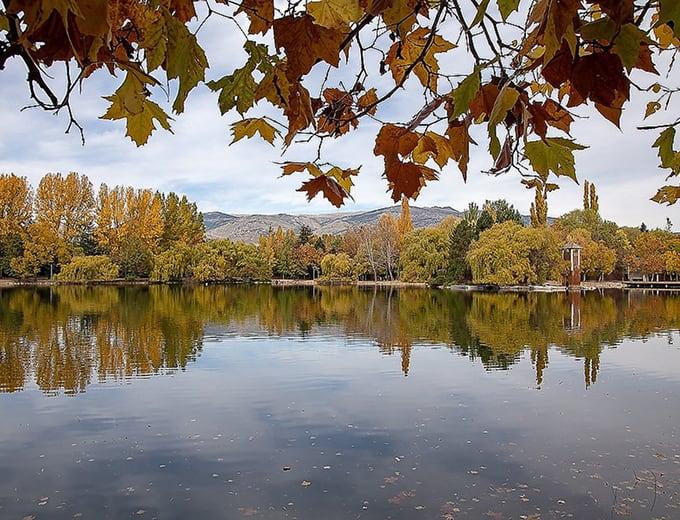 Exclusive Real Estate