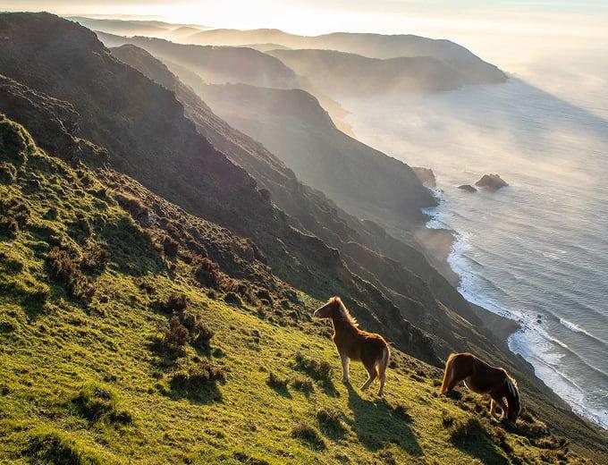 Exclusive Real Estate